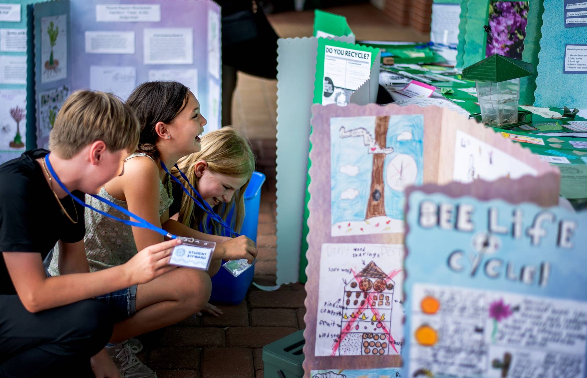 Student stewards learn from other students projects and environmental posters